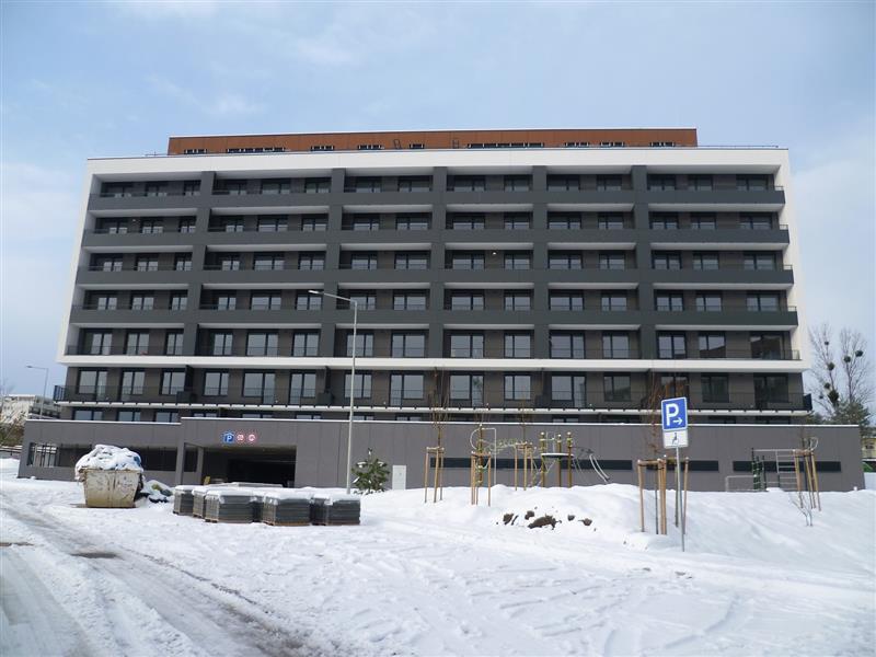 foto_235172